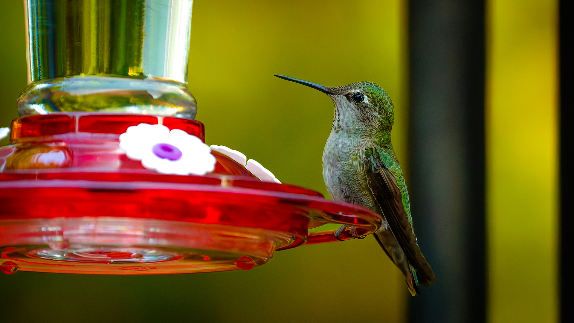 Hmpg 0000 0000 000b47a