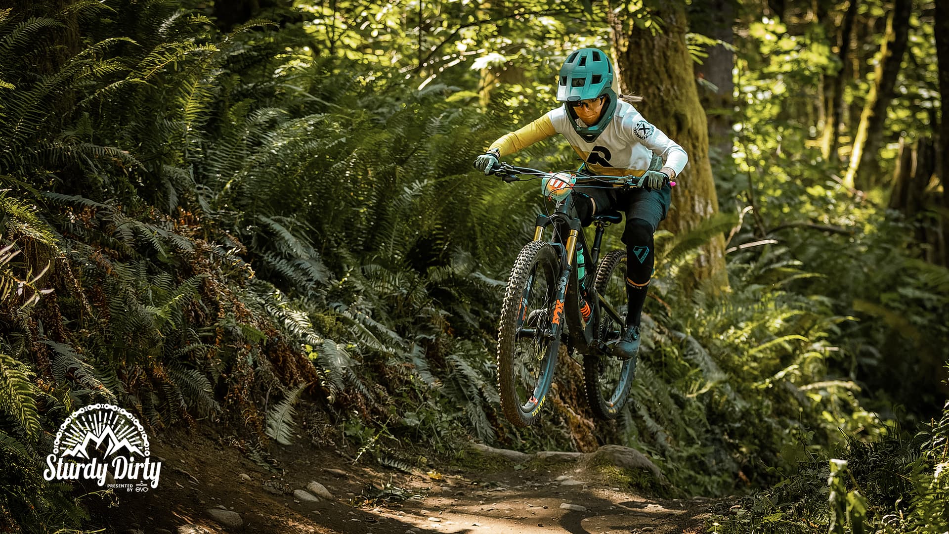 Hmpg 0000 0000 000b68i