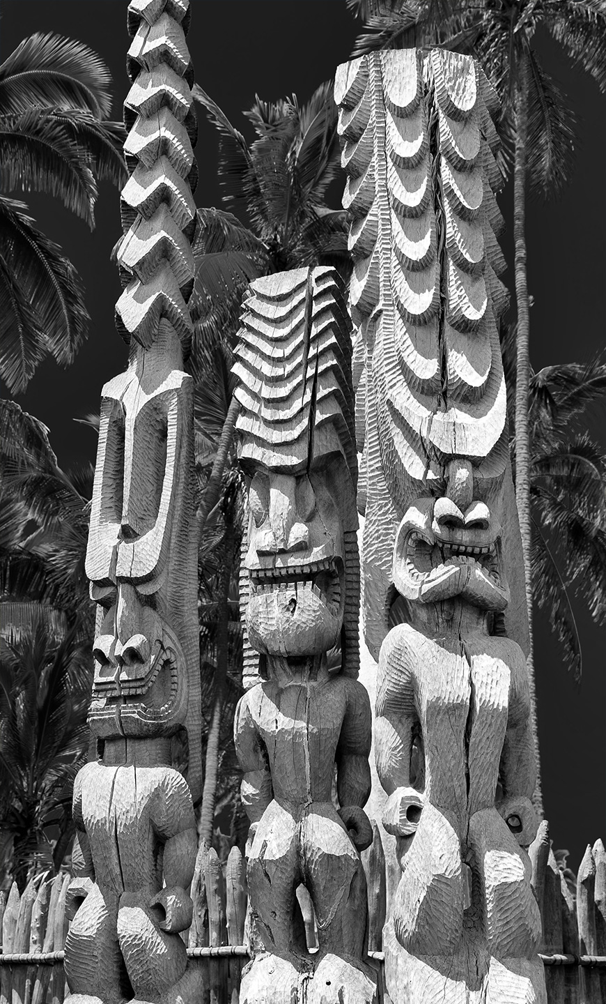 2021 Hawaii Honaunau 04