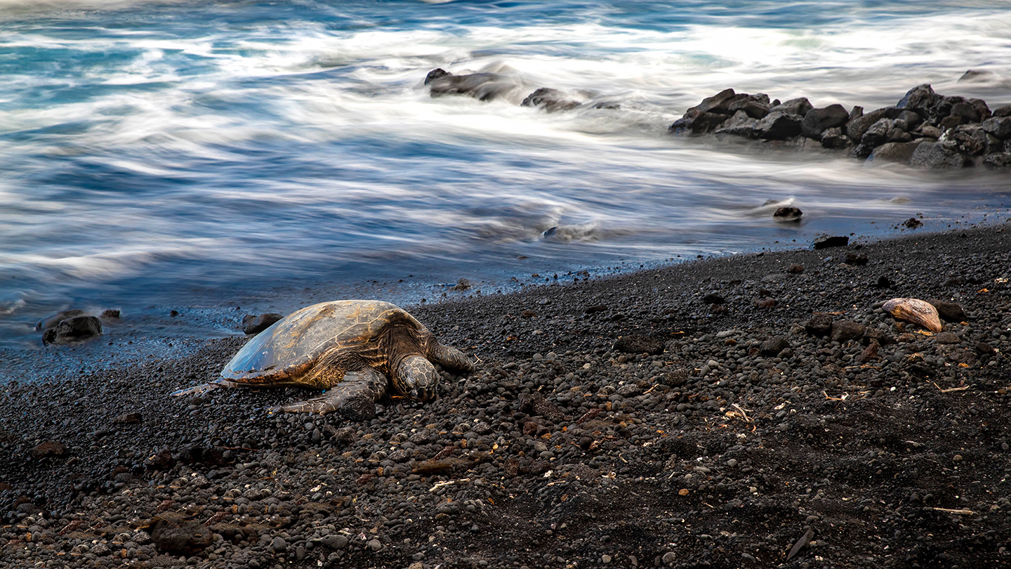 2021 Hawaii Punalu'u 03